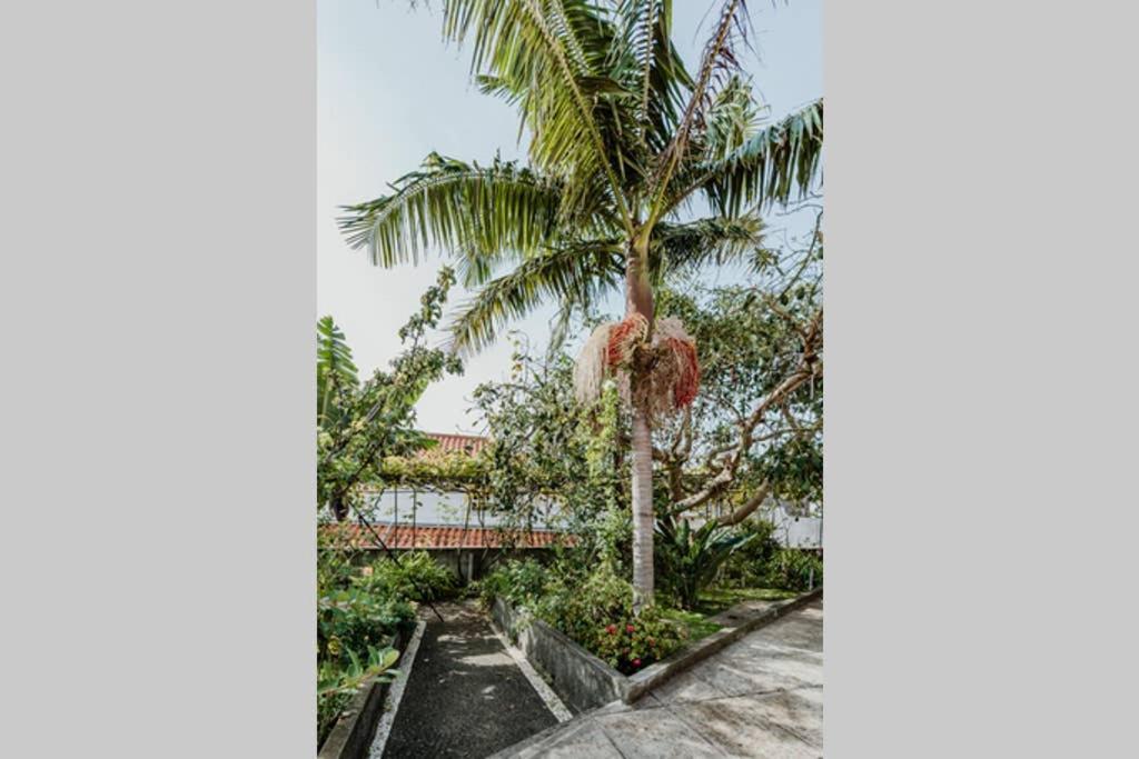City View Gardens ฟุงชาล ภายนอก รูปภาพ